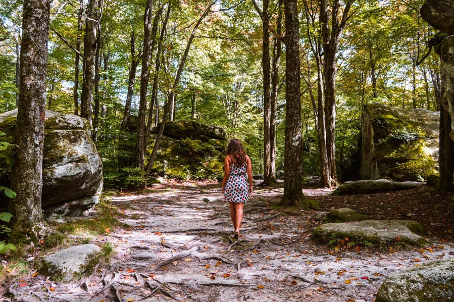 Allegany State Park in New York - Best Buffalo Day Trip