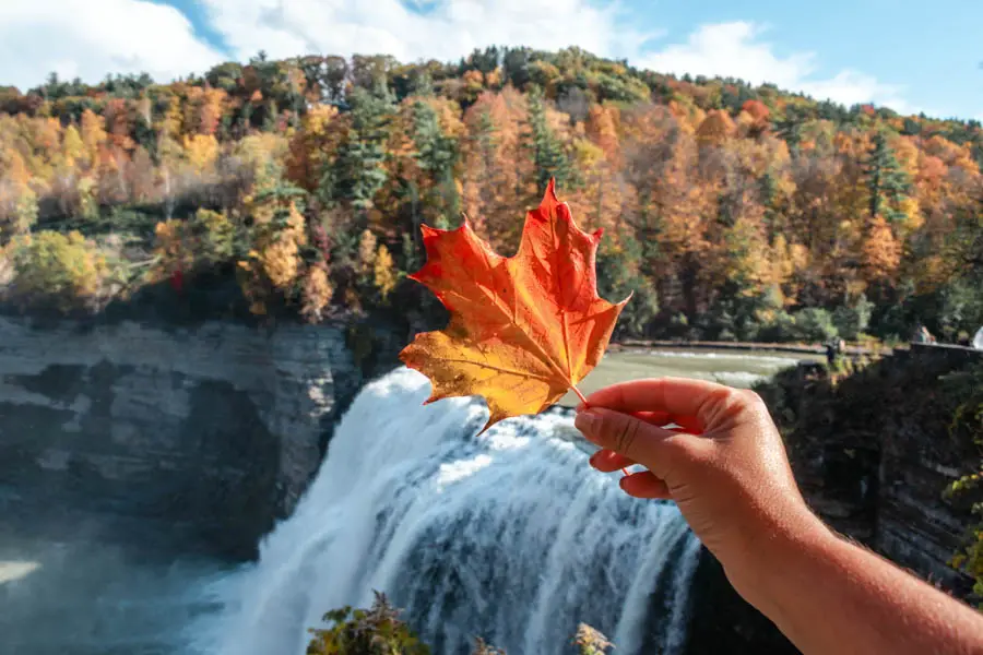 Fall foliage at Letchworth State Park