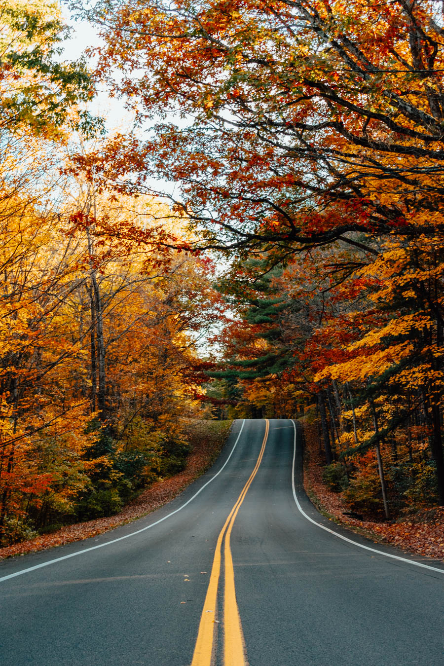 Fall Foliage Letchworth 