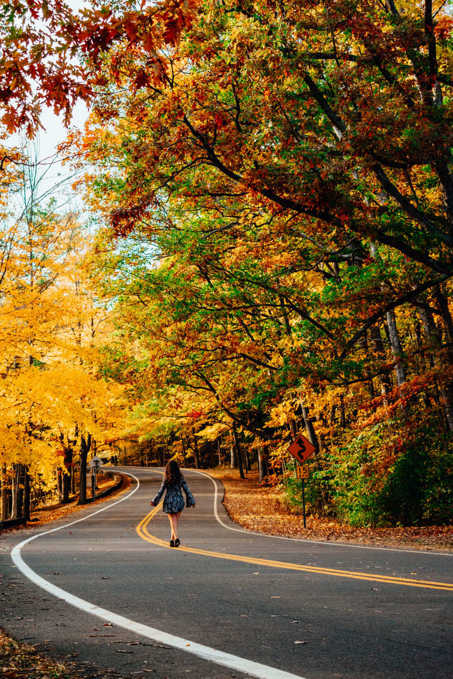 Road through Letchworth State Park in Fall