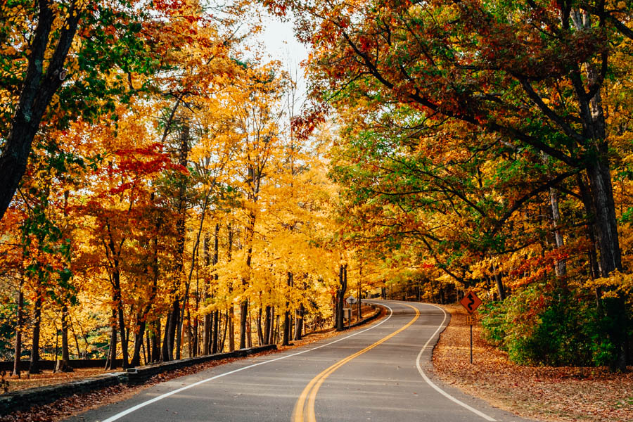 Road through Letchworth State Park in Fall