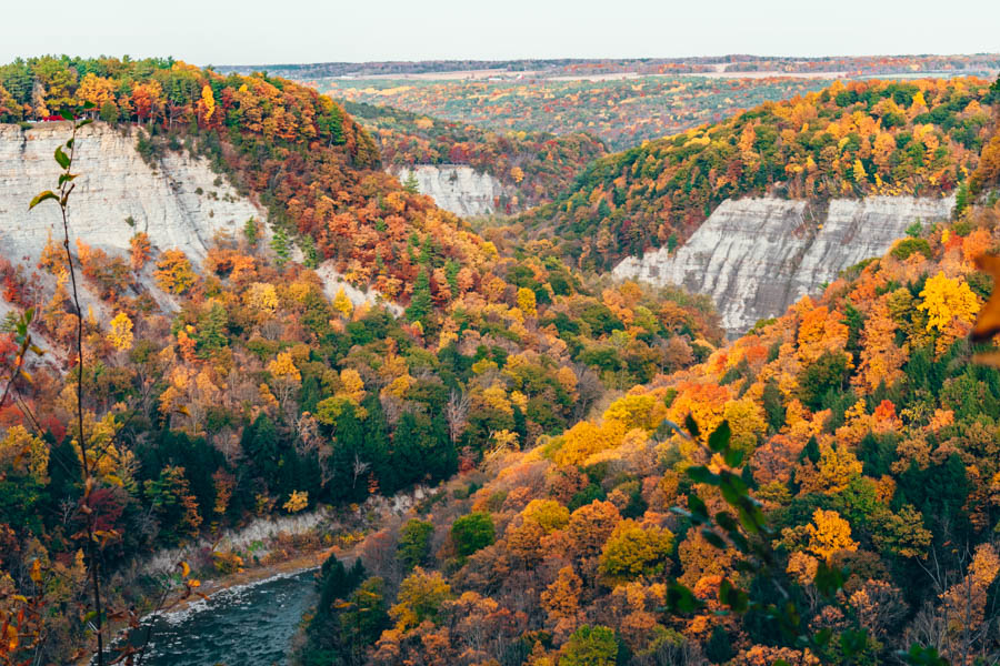 Letchworth State Park in the Fall