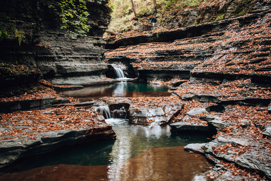 Fall Foliage in the Finger Lakes