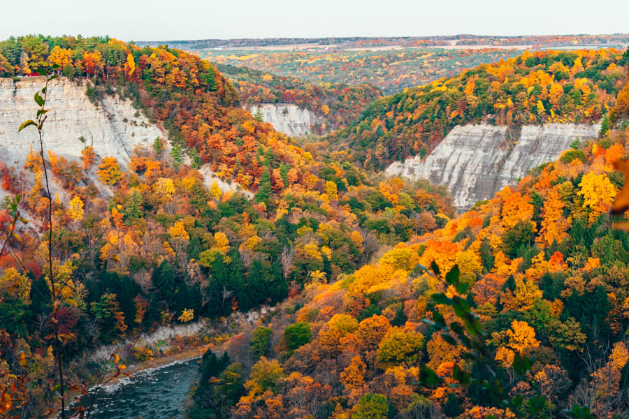 Fall Foliage in the Finger Lakes