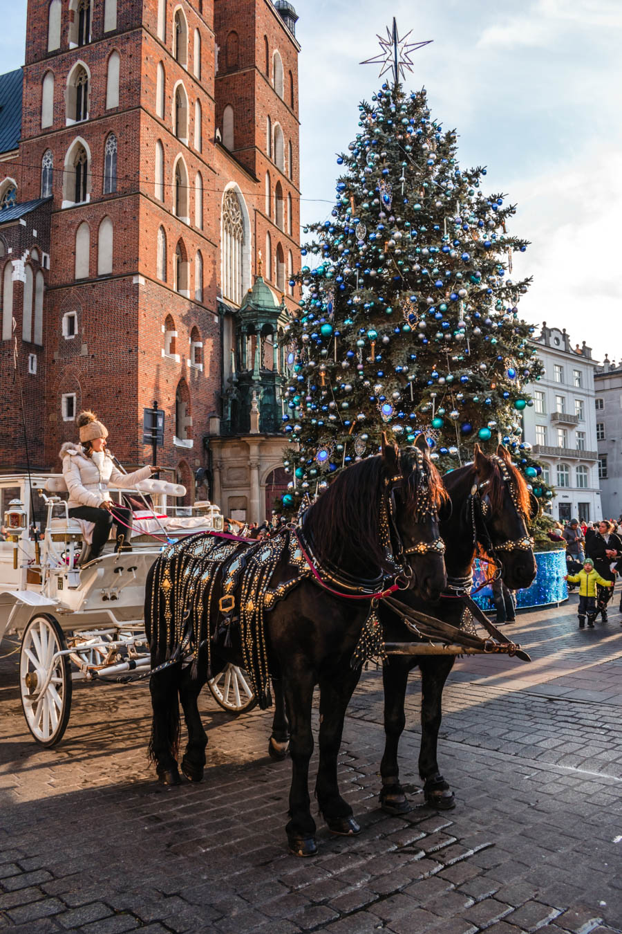 Horse Drawn Carriage in Krakow