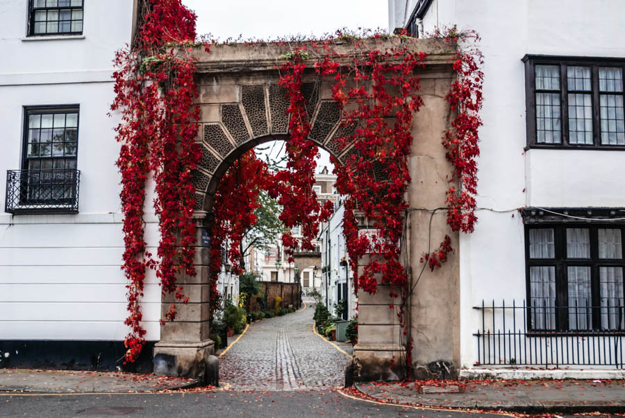 Kynance Mews Autumn