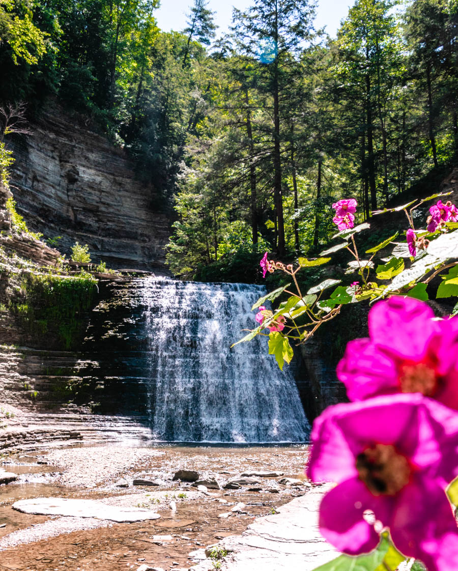 Stony Brook State Park