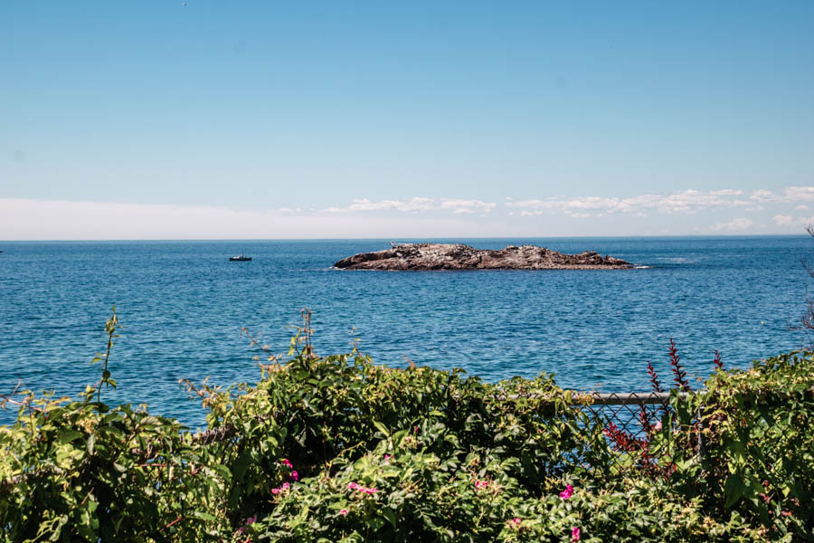 View from Hammond Castle