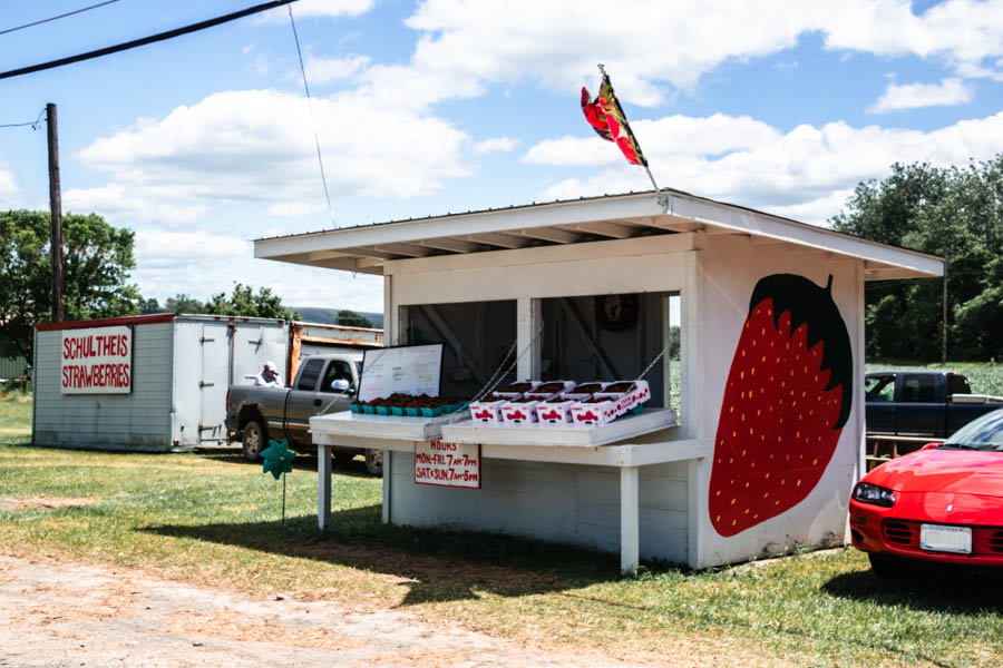 Schultheis Strawberries