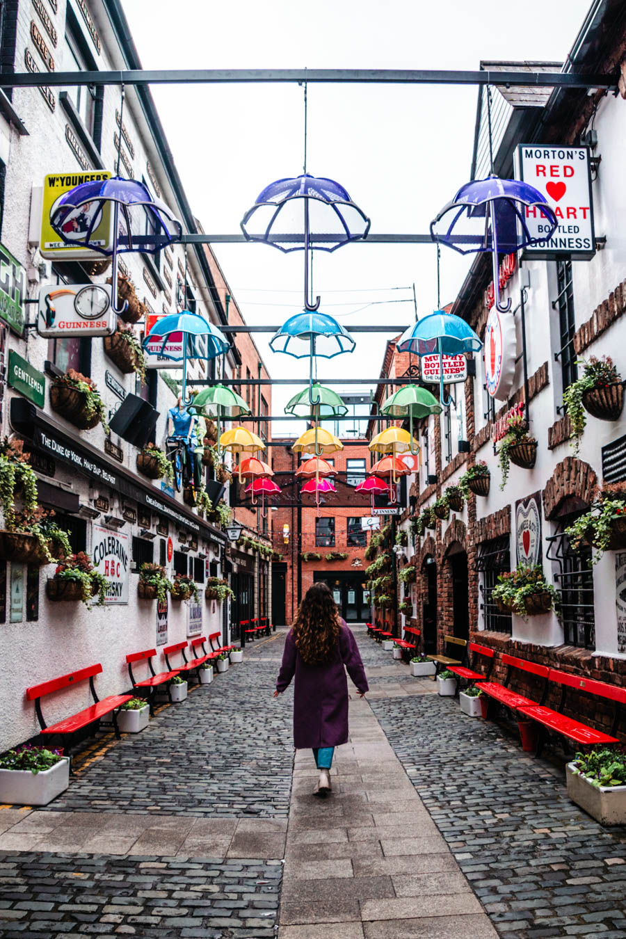 Umbrella Street in Belfast