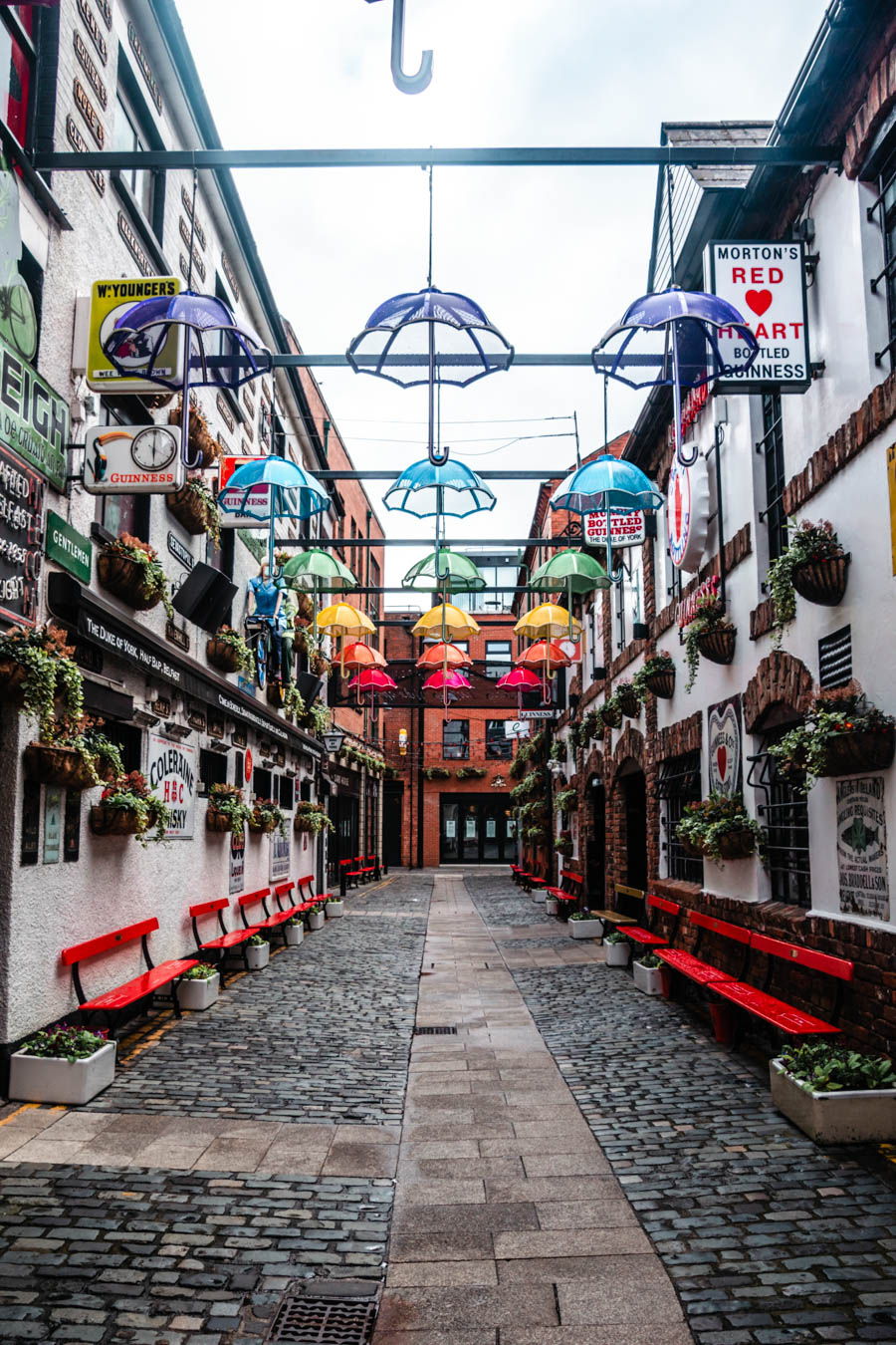 Umbrella Street in Belfast