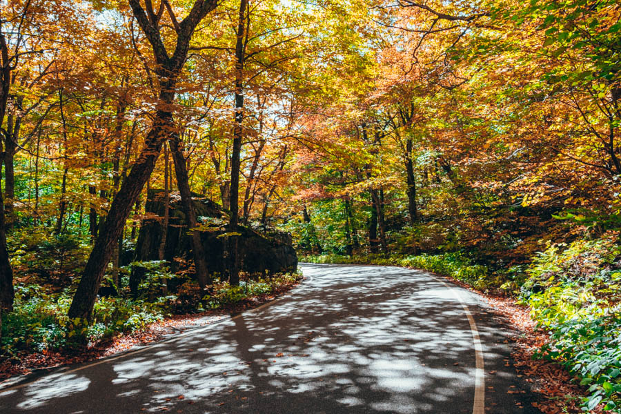 Smugglers Notch Fall Foliage