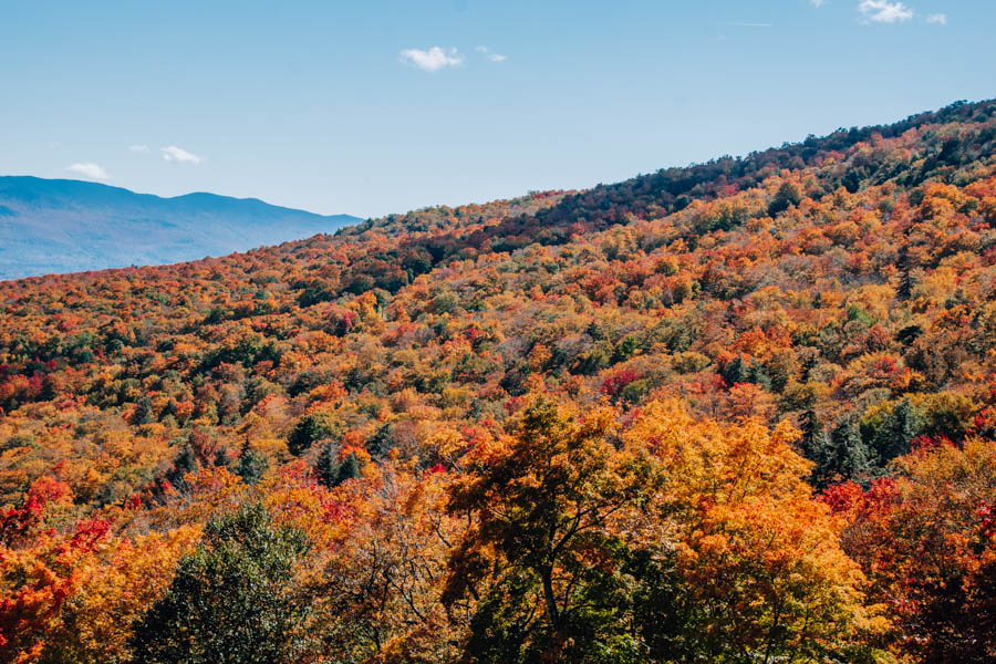 Stowe Gondola Fall foliage