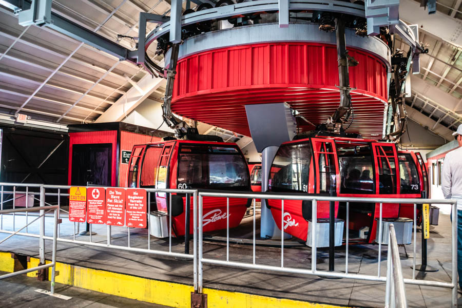 Riding the Gondola SkyRide