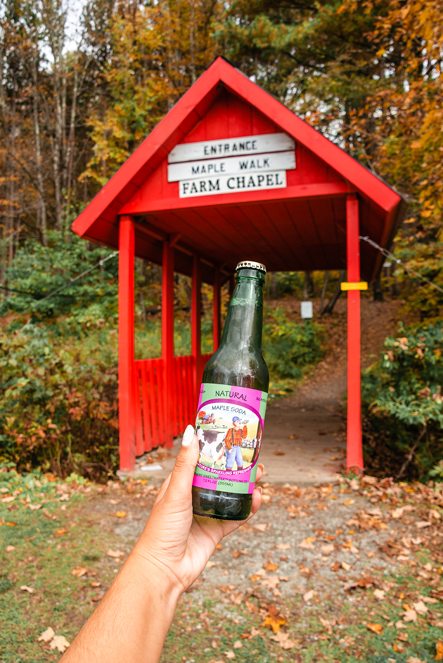 Sugarbush Farm Maple sucker