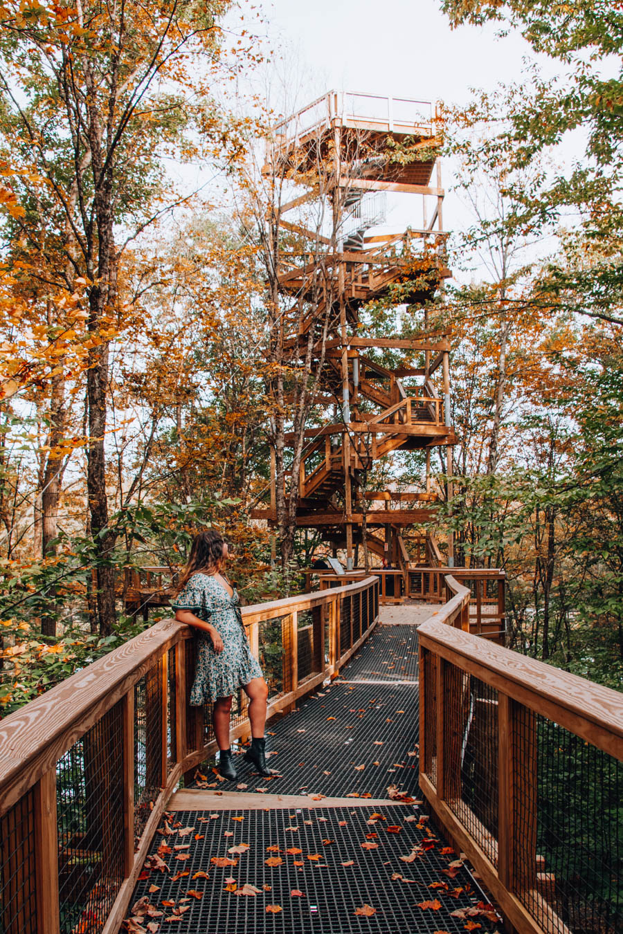 The Vermont Institute of Natural Science Forest Canopy Walk