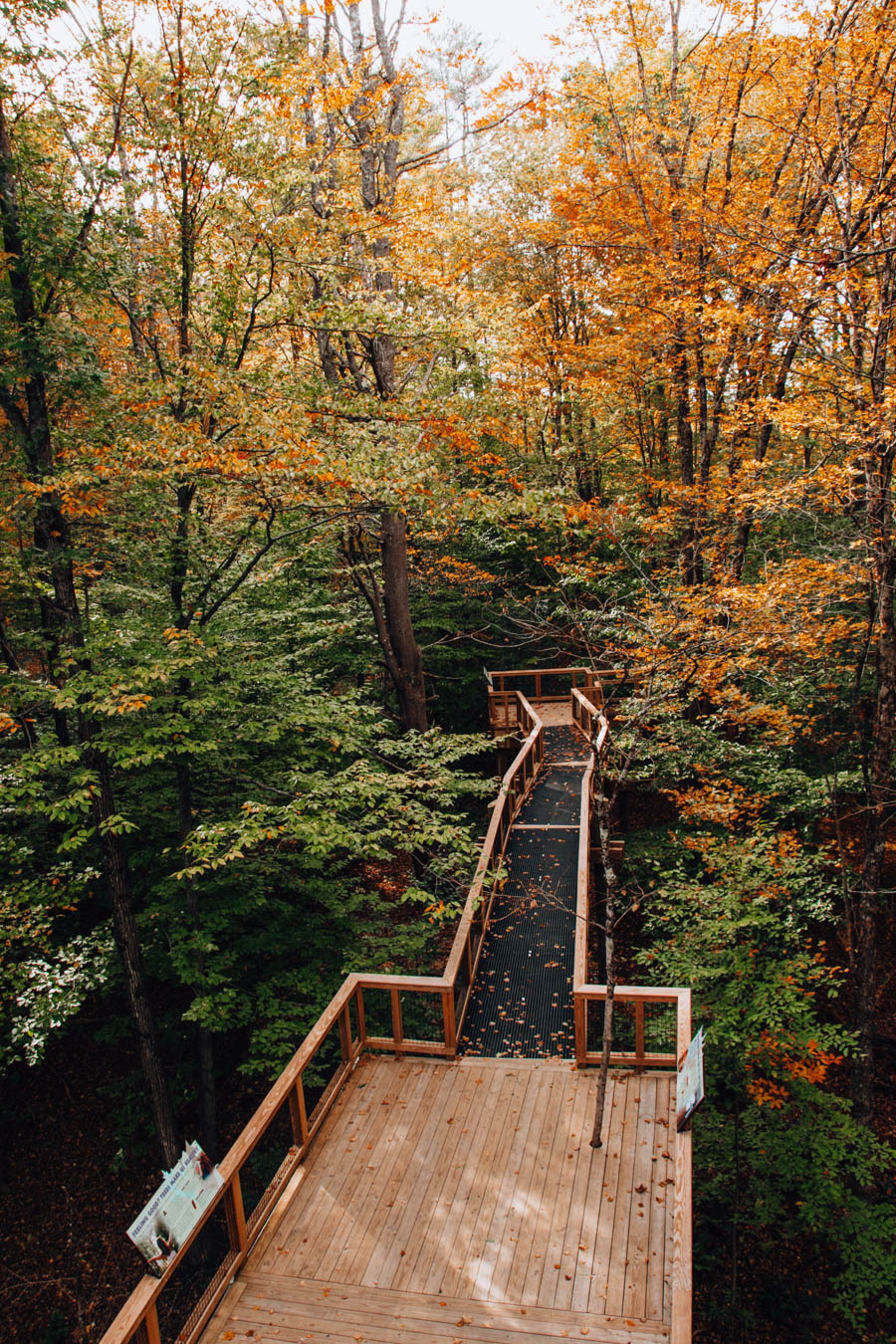 The Vermont Institute of Natural Science Forest Canopy Walk