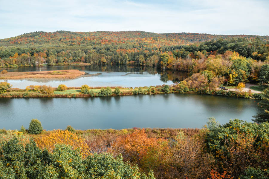 The Vermont Institute of Natural Science Forest Canopy Walk