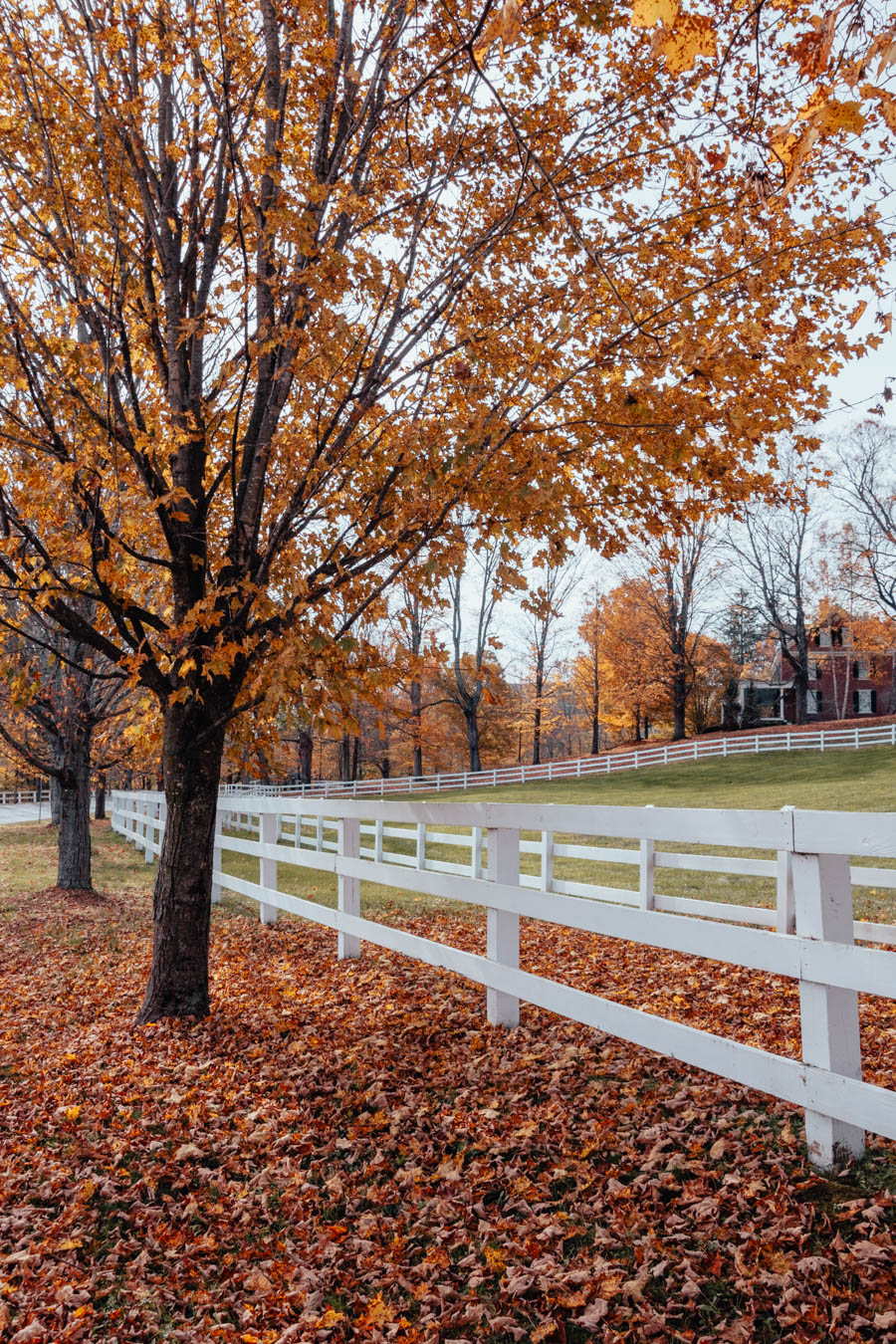 Woodstock Vermont in Fall