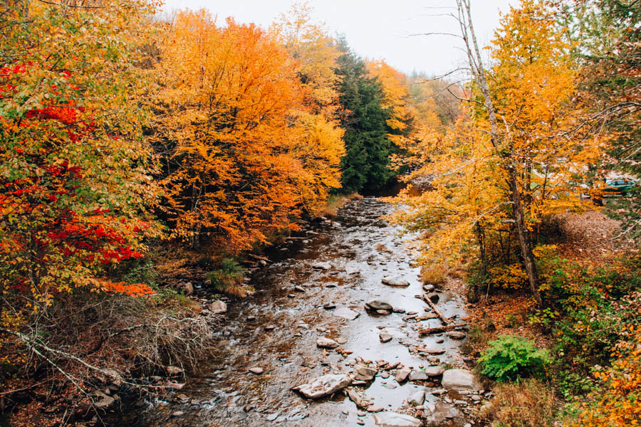 Fall Foliage in Stowe