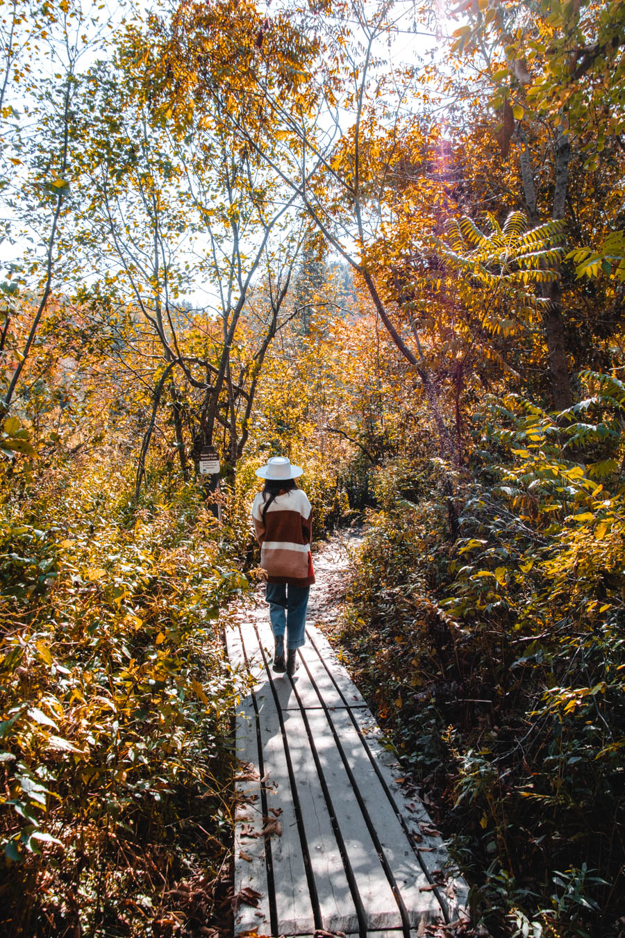 Moss Glen Falls Hike