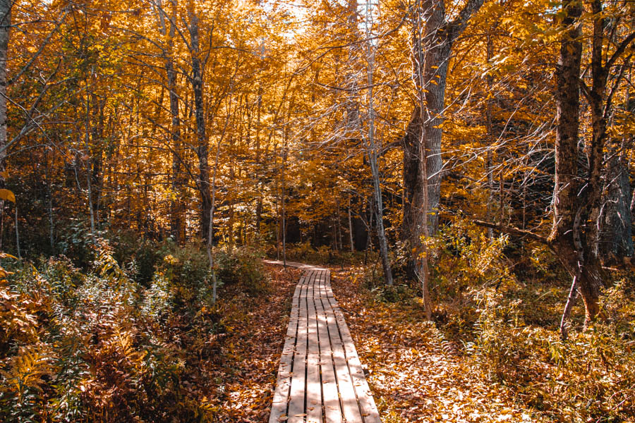 Fall Foliage in Stowe Vermont