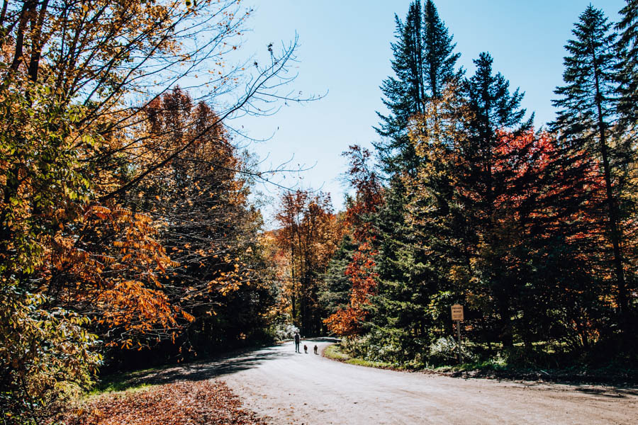 Stowe Recreational Path