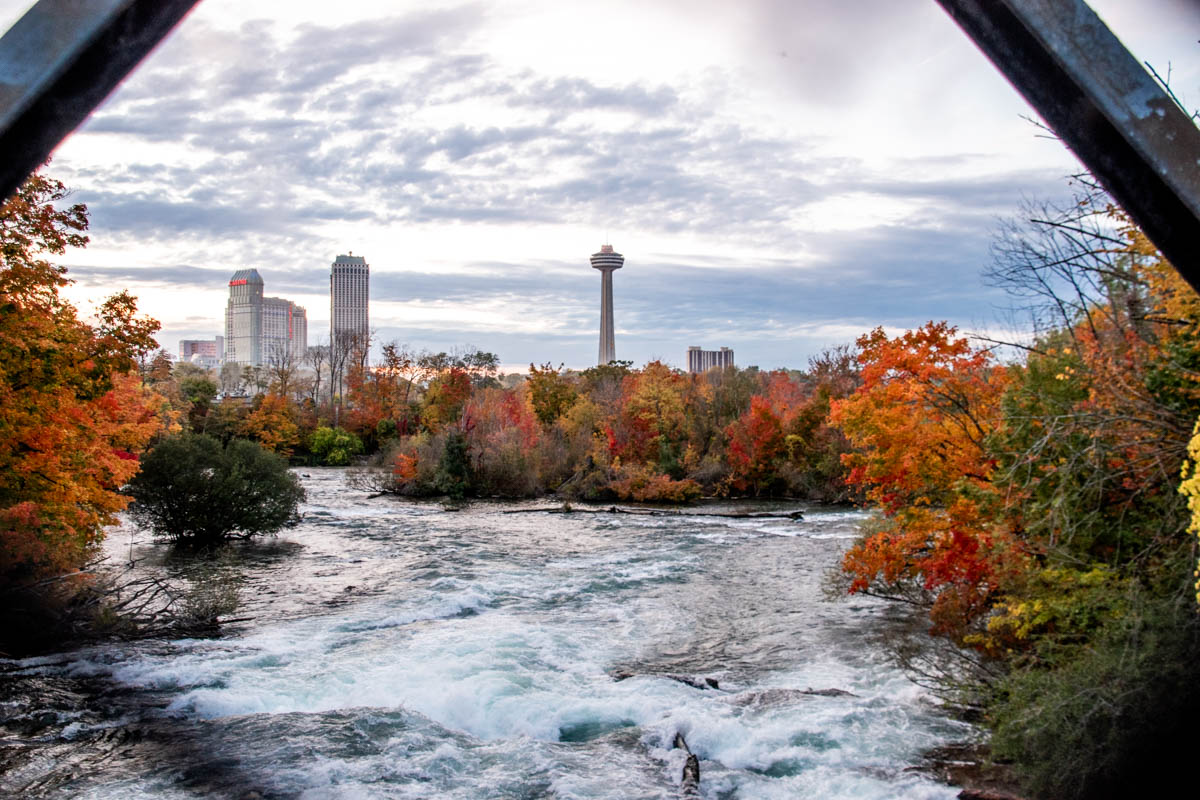 Rushing river framed by autumn trees with the skyline of Niagara Falls, Canada visible in the distance.