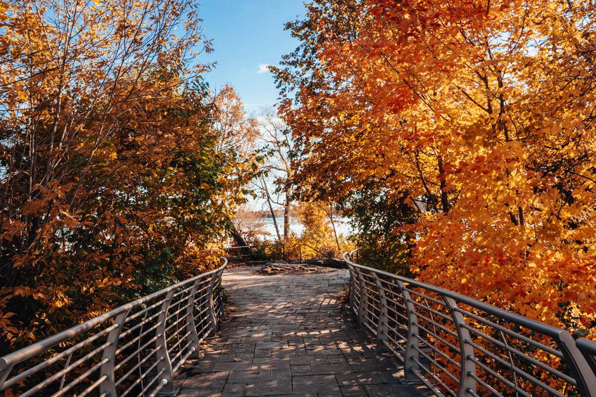 Scenic path on Goat Island surrounded by golden fall leaves, a perfect autumn walking trail in Niagara Falls State Park.