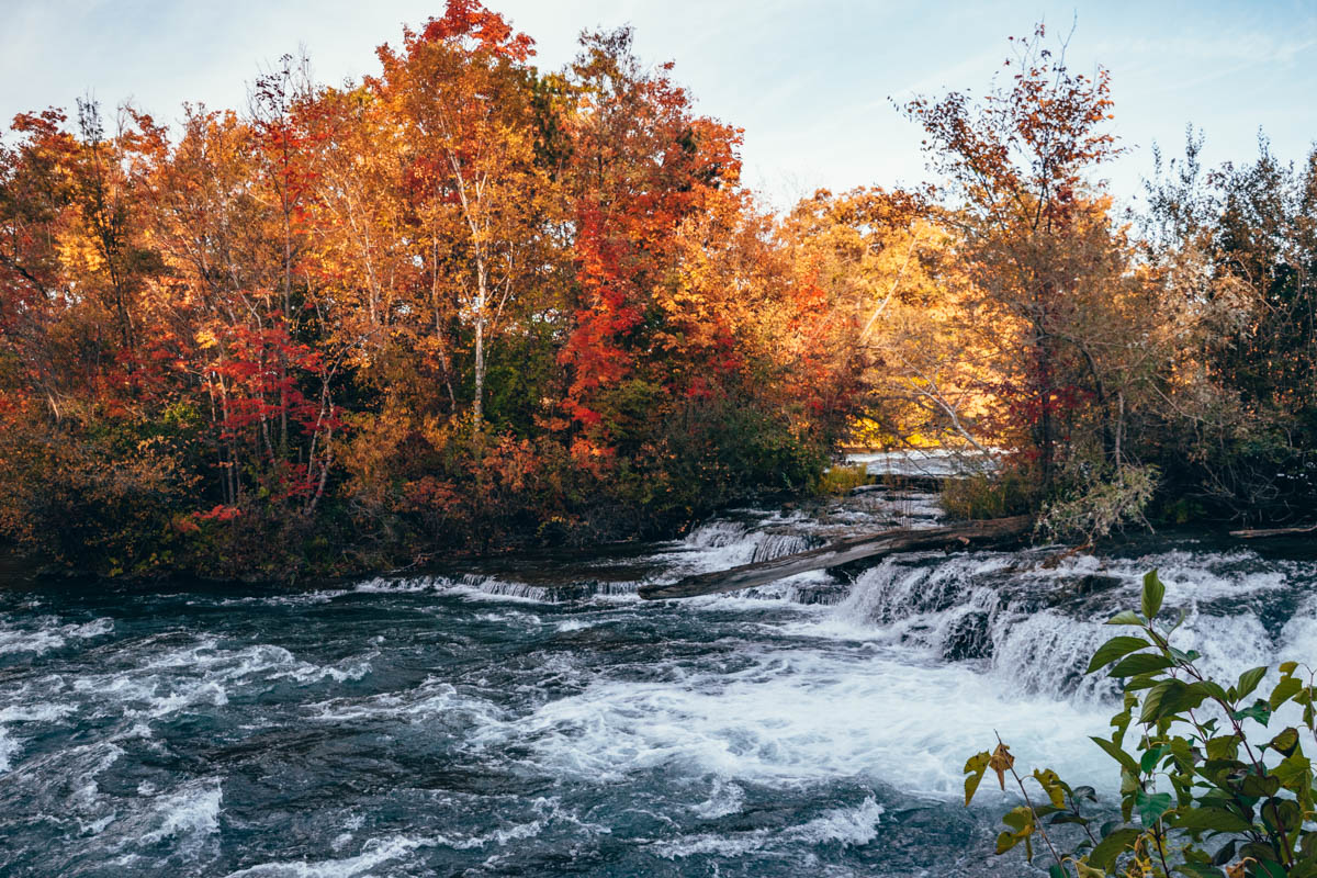 Rushing river bordered by vibrant fall trees in peak color, highlighting the beauty of autumn near a small waterfall in Niagara Falls State Park.