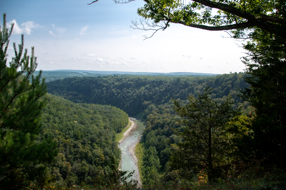 Scenic overlook at Letchworth State Park – Panoramic view of the Genesee River winding through a deep green gorge surrounded by forested cliffs, showcasing the breathtaking natural beauty that earns Letchworth its nickname, the “Grand Canyon of the East