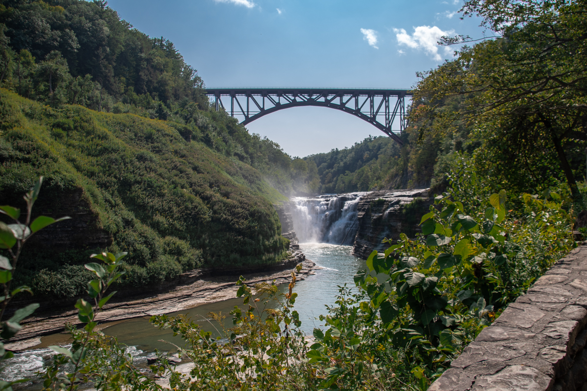 Middle Falls framed by wildflowers and bridge – bright yellow blooms in the foreground with cascading waterfall and steel arch bridge overhead.