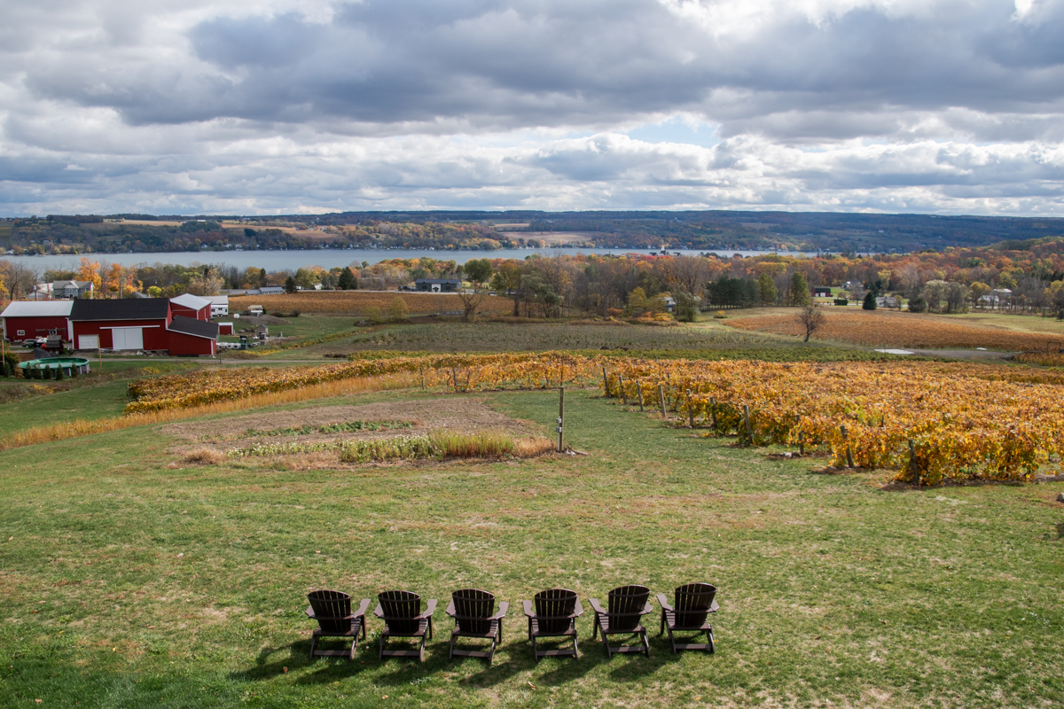 Row of Adirondack chairs facing the scenic hillside vineyards at Vineyard View Winery with Keuka Lake and fall foliage visible in the distance.