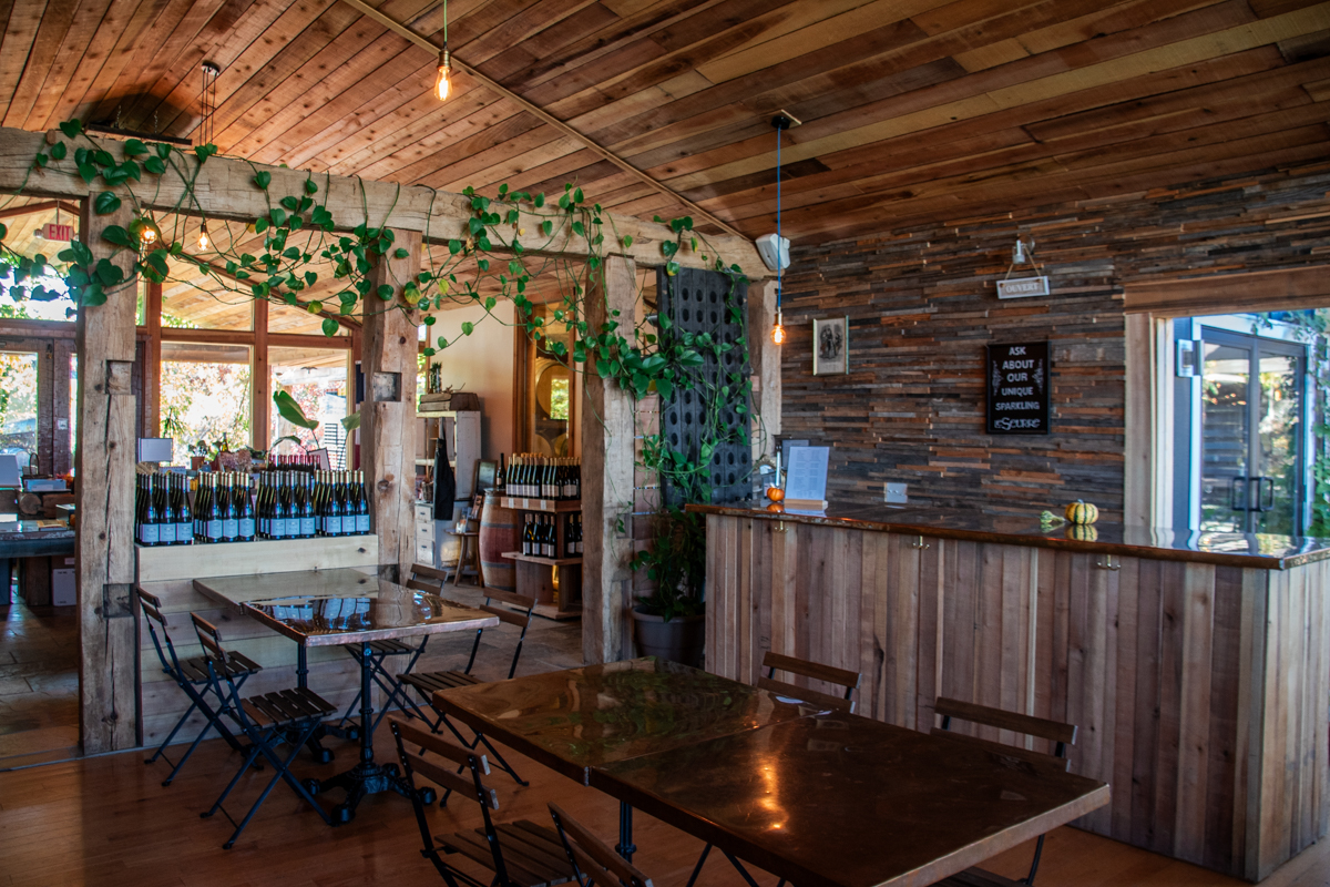 Warm, rustic interior of Domaine LeSeurre Winery on Keuka Lake, featuring wooden beams, hanging plants, and rows of wine bottles in a cozy Finger Lakes tasting room
