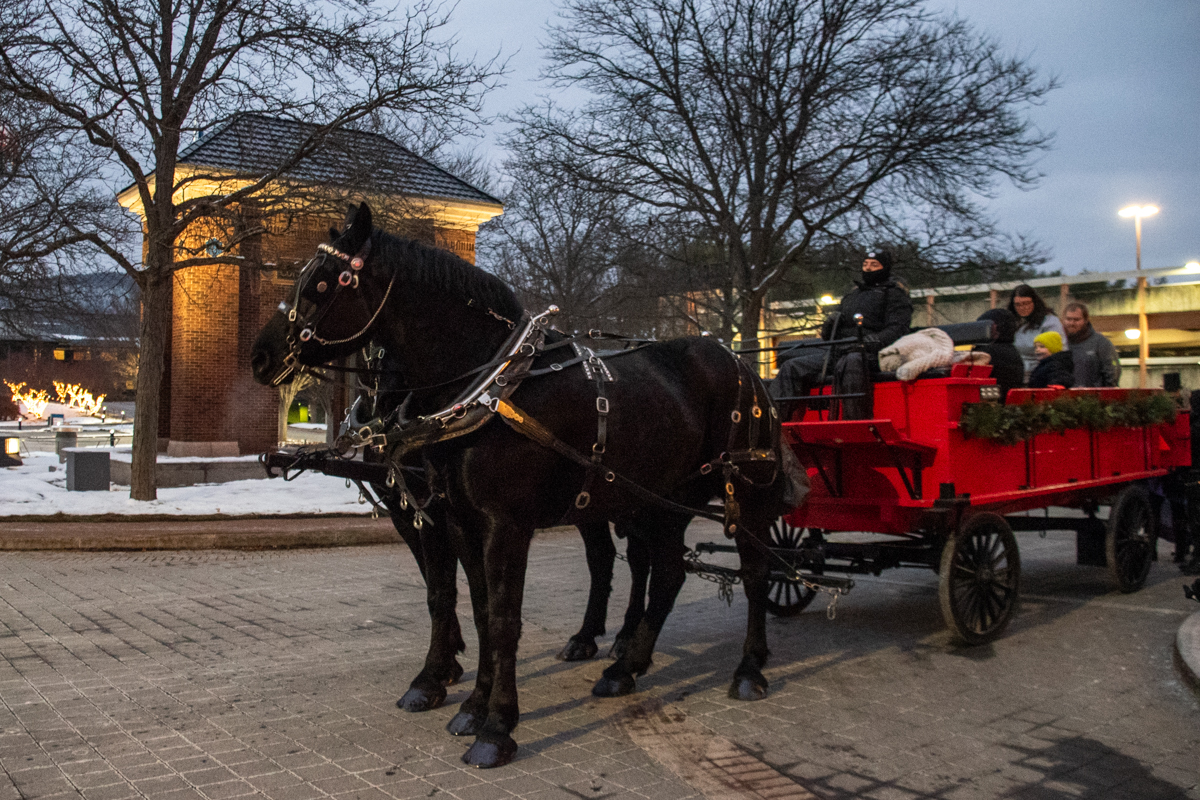Two black horses pulling a red wagon filled with bundled-up riders during a winter horse-drawn carriage ride in downtown Corning, NY.