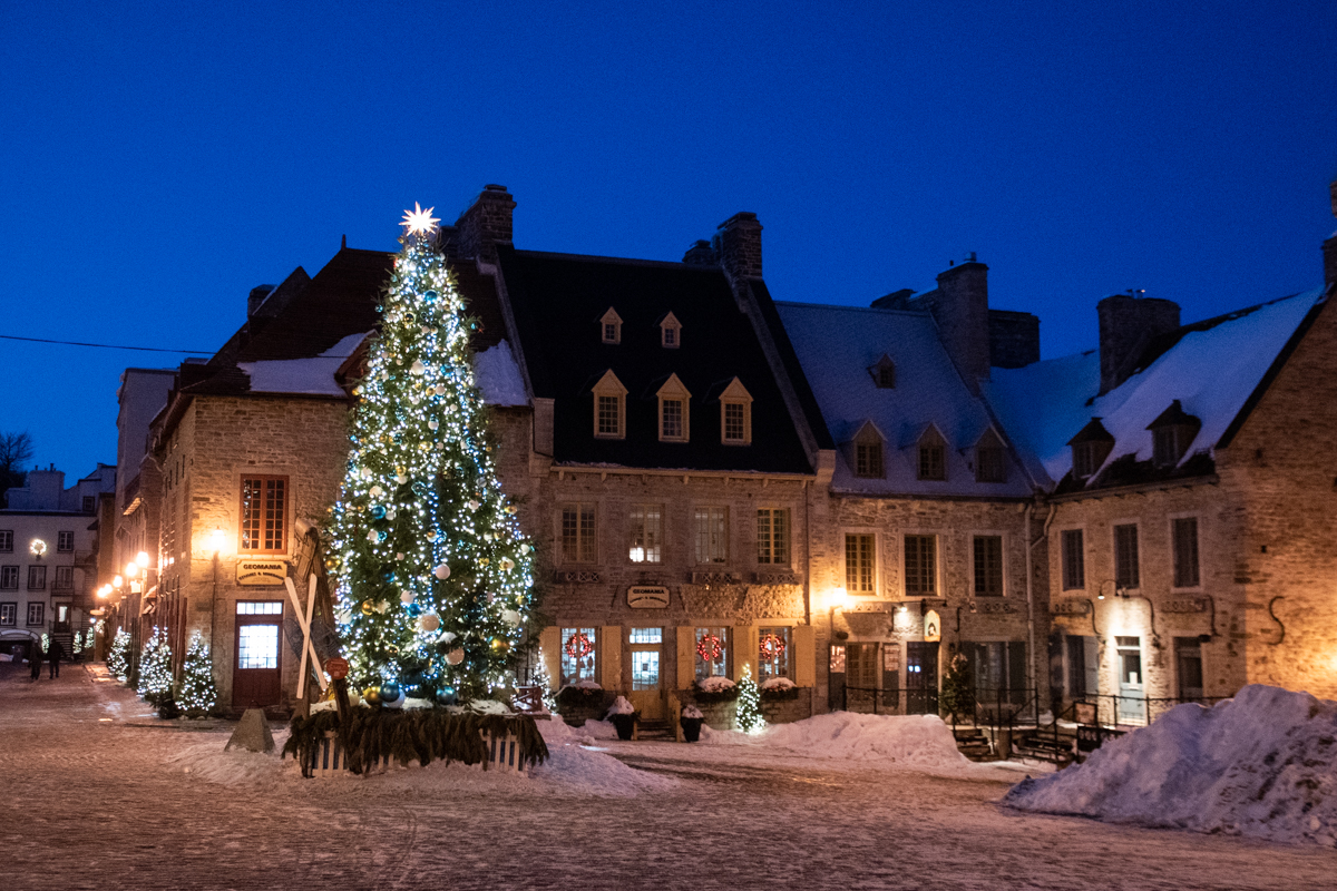 Place Royale in Old Quebec with a lit Christmas tree and historic stone buildings, a must-see spot during winter in Quebec City.