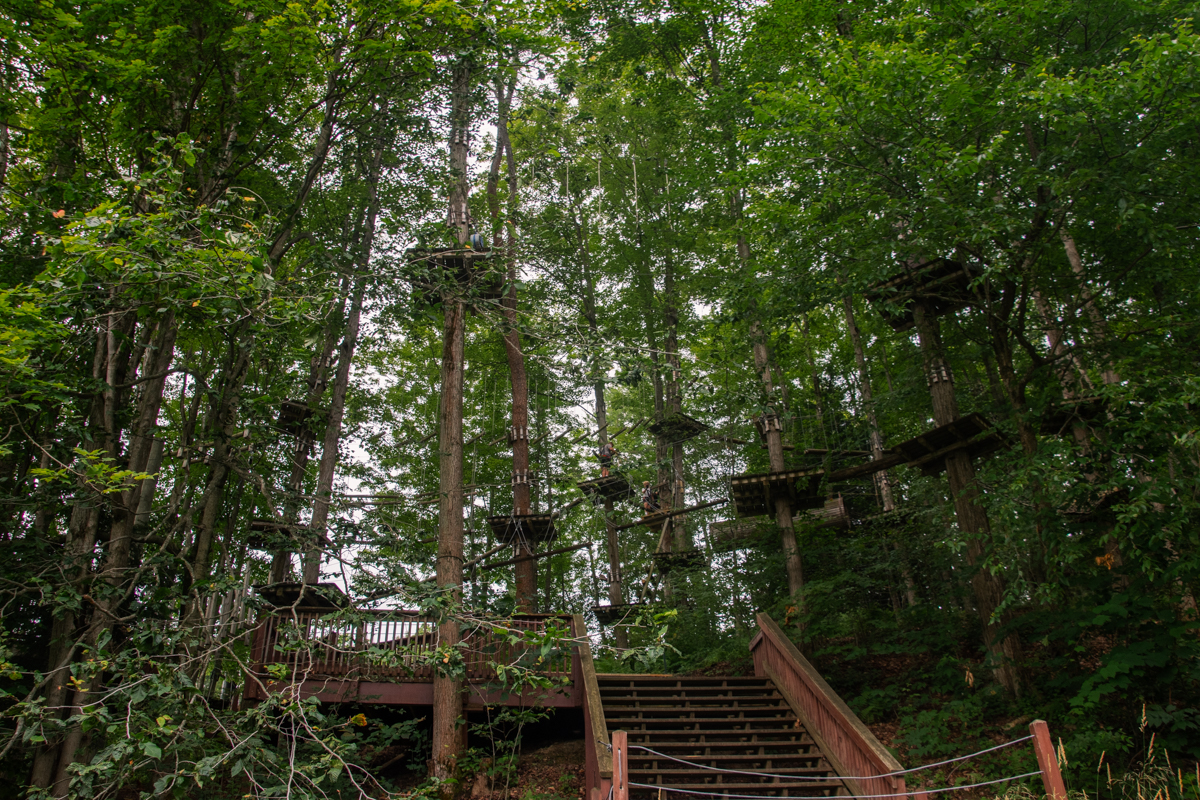 View of the aerial ropes courses winding through the forest at Peek'n Peak Mountain Adventures.