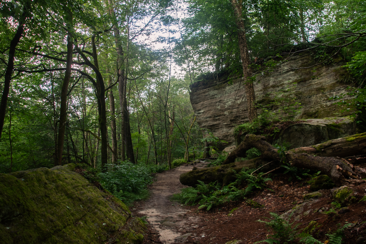 Forest trail beneath towering rock formations at Panama Rocks Scenic Park in New York