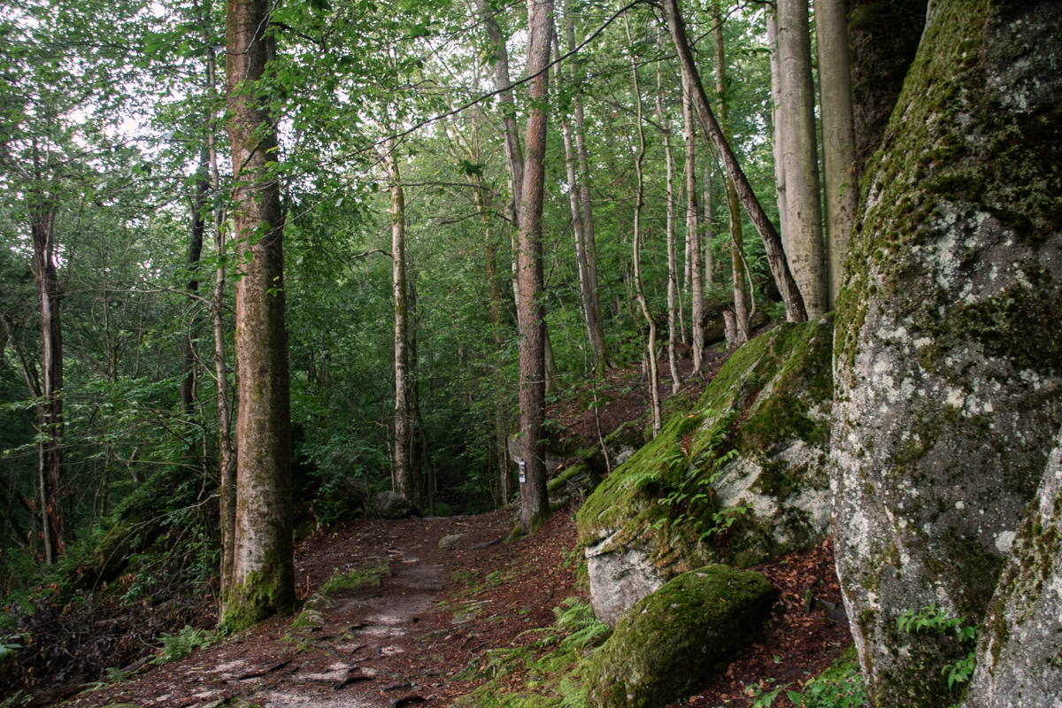 Wooded hiking trail beside massive boulders at Panama Rocks Scenic Park