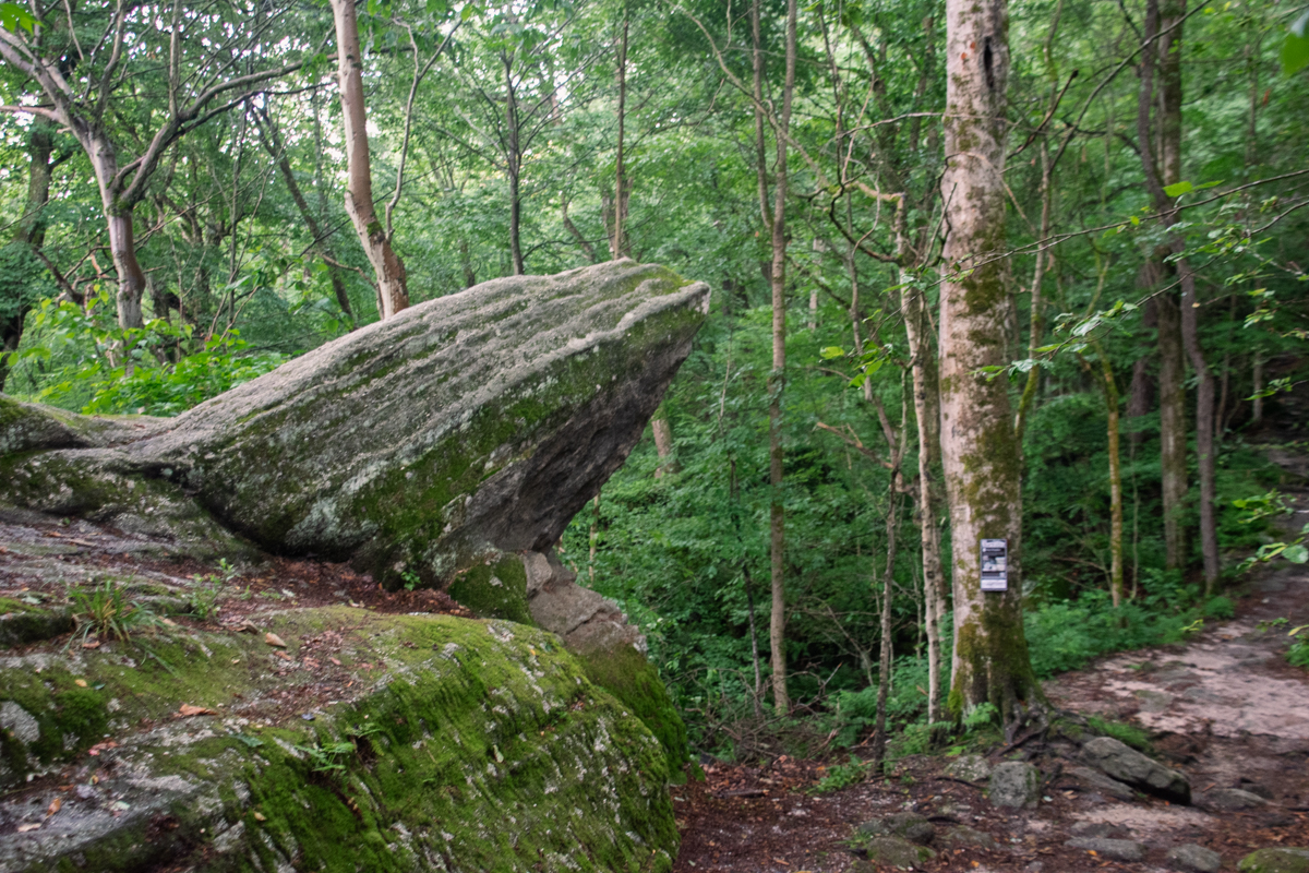 Massive boulder covered in moss beside the trail at Panama Rocks Scenic Park