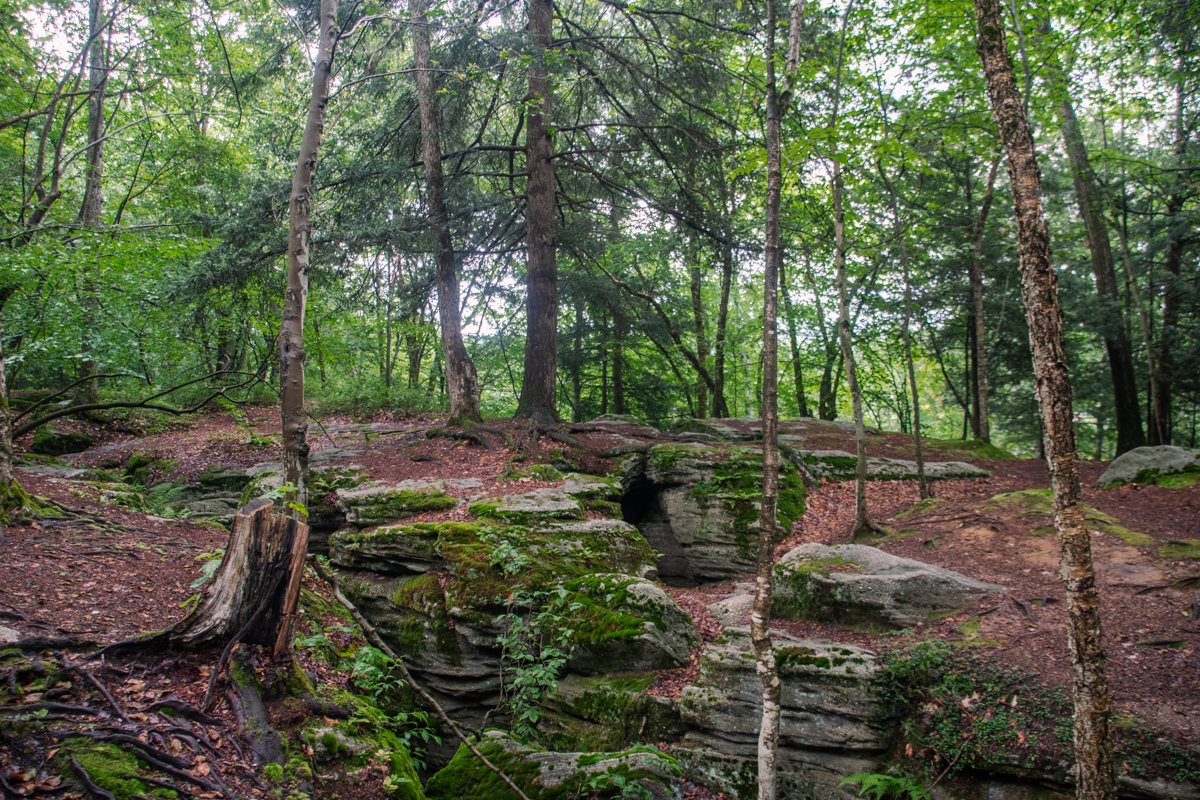 Layered moss-covered rock formations surrounded by trees at Panama Rocks Scenic Park