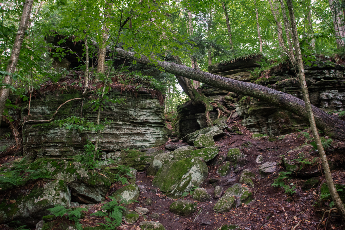 Large moss-covered rock formations and fallen tree at Panama Rocks Scenic Park